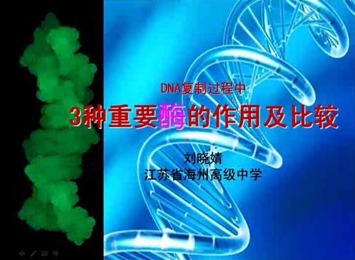 点击观看《DNA复制过程中3种酶的作用及比较》