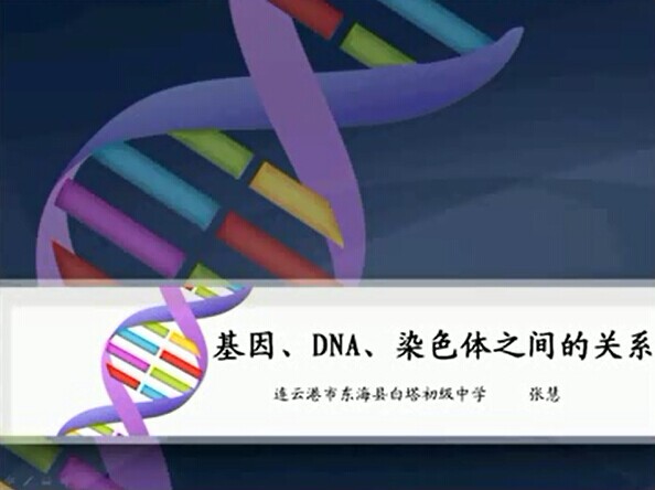 基因、DNA、染色体三者之间的关系
