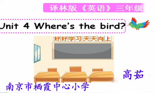 歌曲Where is the bird